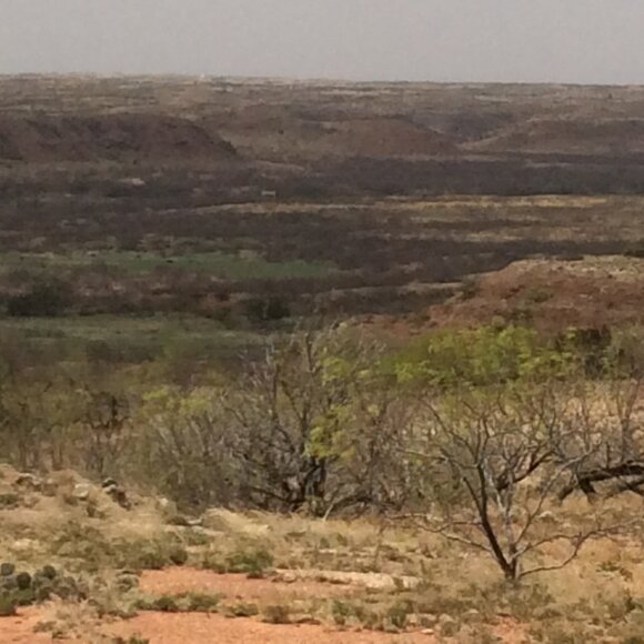 Meet your Posher, William - Picture 14 of 16